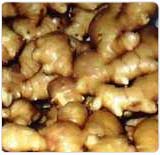 Ginger Oil