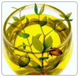 Jojoba Oil