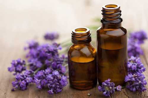 Lavender oil Kashmiri