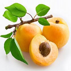 Apricot Kernel Oil ( Prunus armeniaca )
