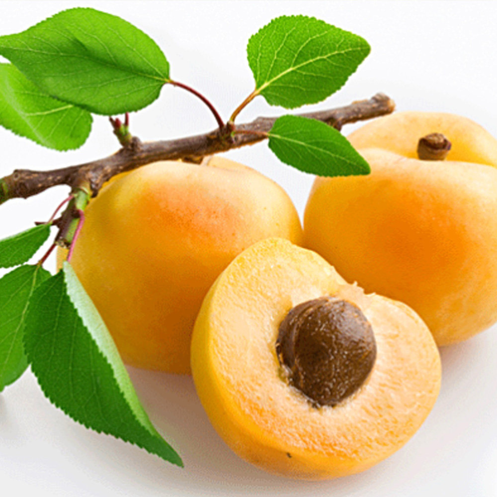 Apricot Oil
