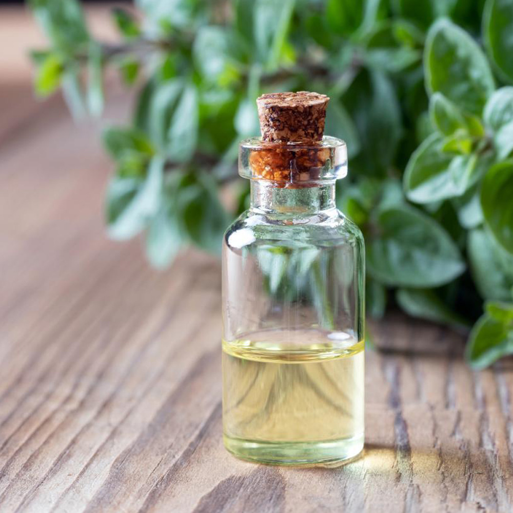 Bay Leaf Essential Oil