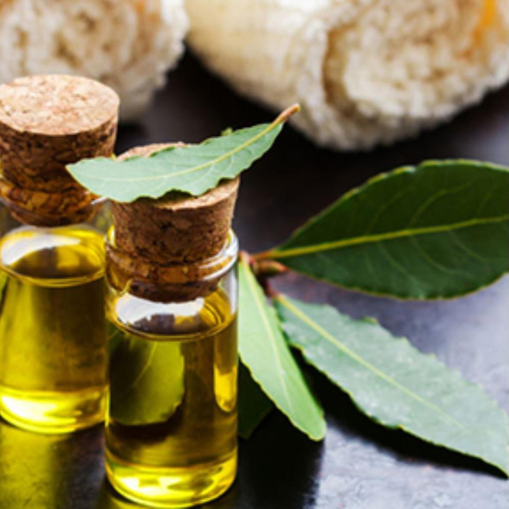 Bay Leaf Essential Oil