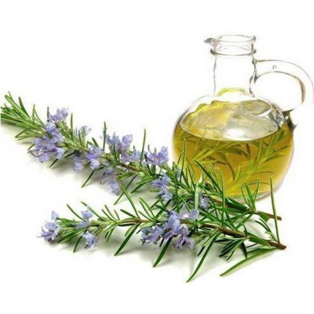 Cajeput Essential Oil
