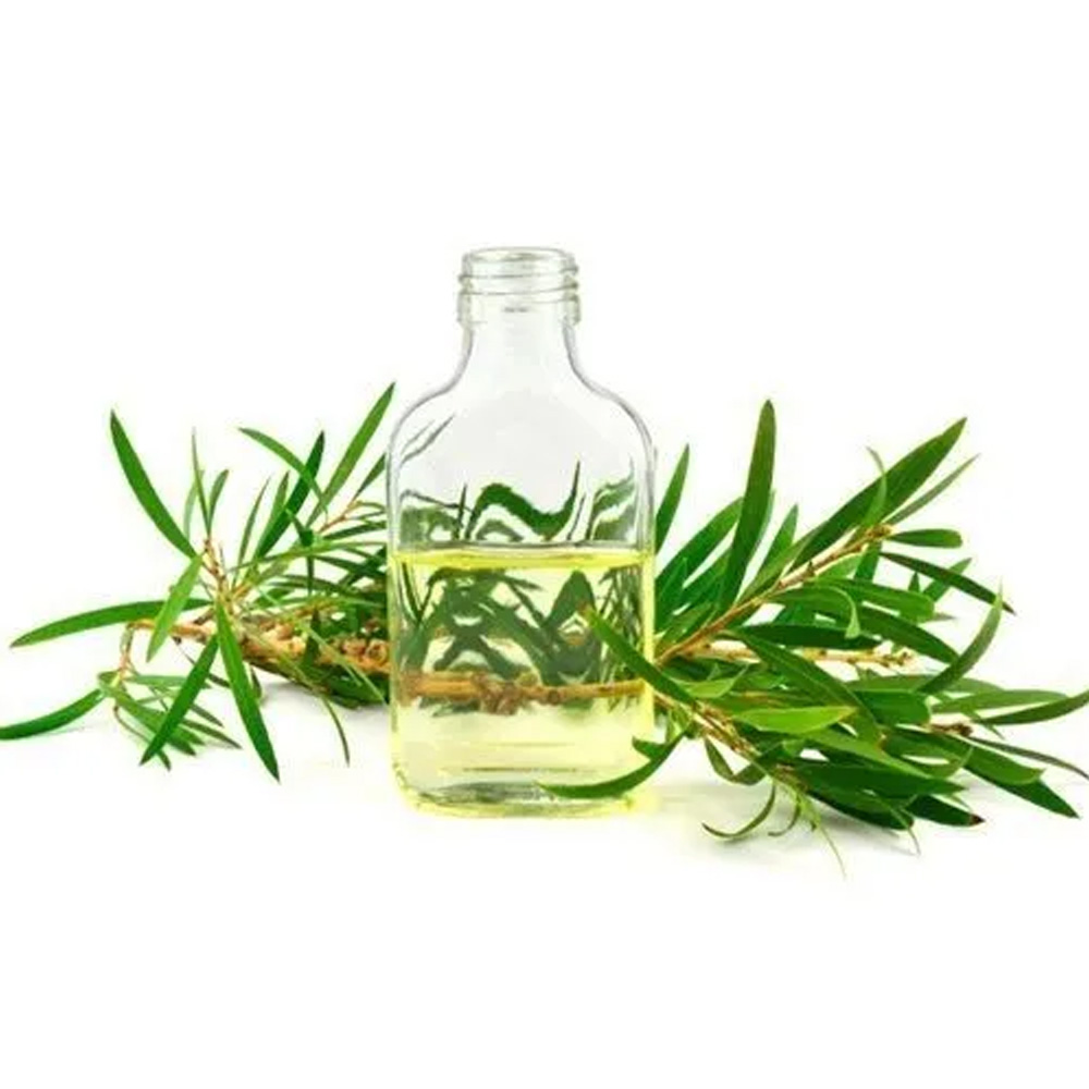Cajeput Essential Oil