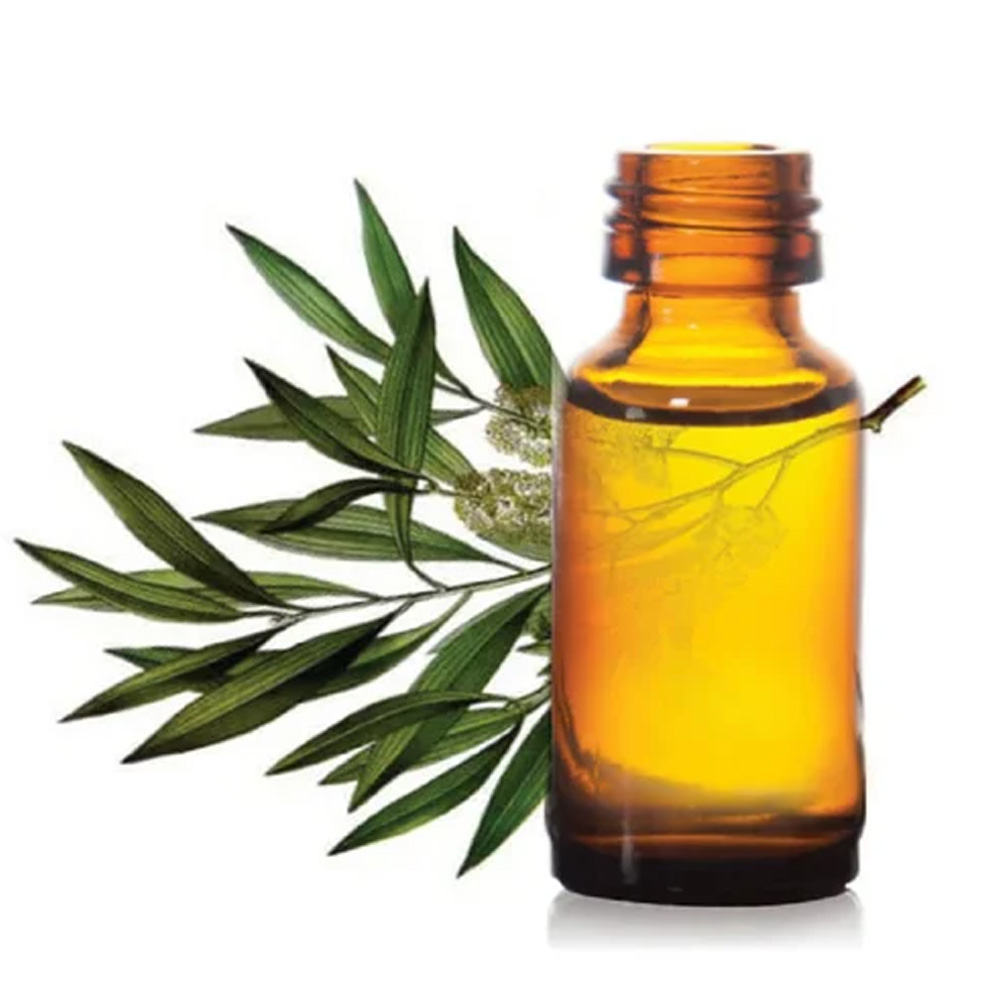 Cajeput Essential Oil