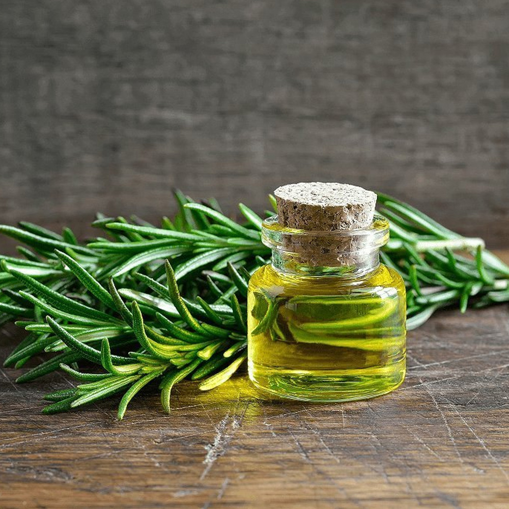 Calamus Essential Oil