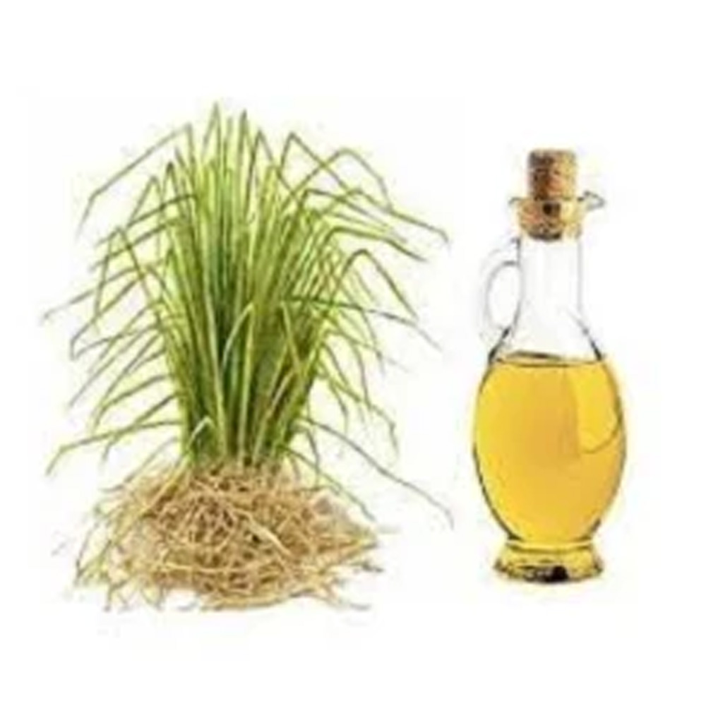 Calamus Essential Oil
