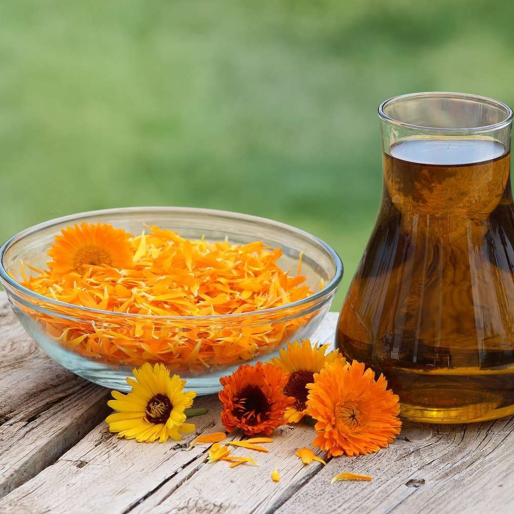 Calendula Oil