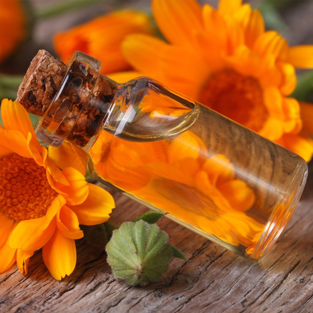 Calendula Oil
