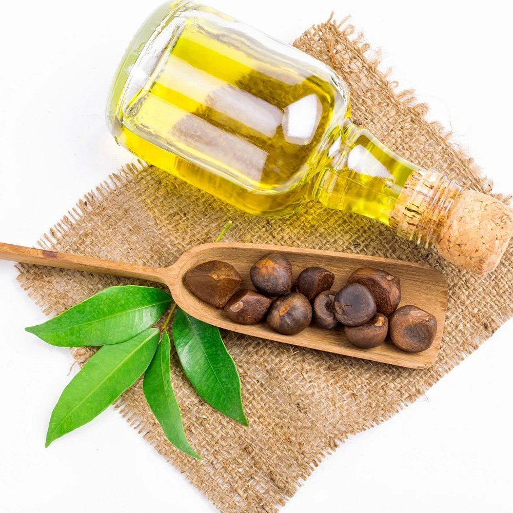 Camellia Seed Oil