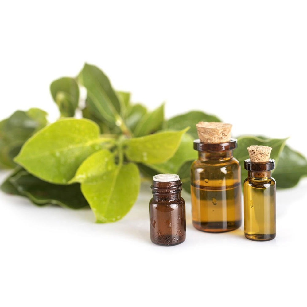 Camphor Essential Oil
