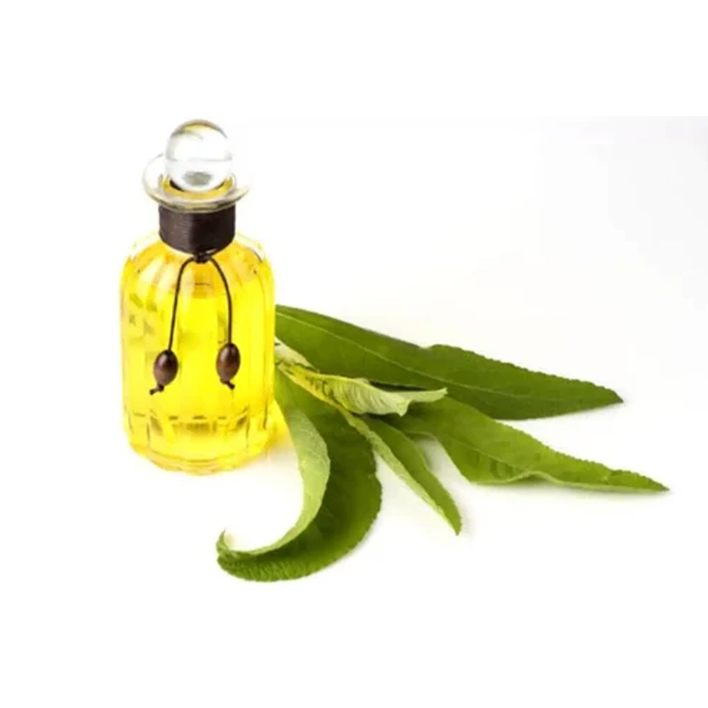 Camphor Essential Oil