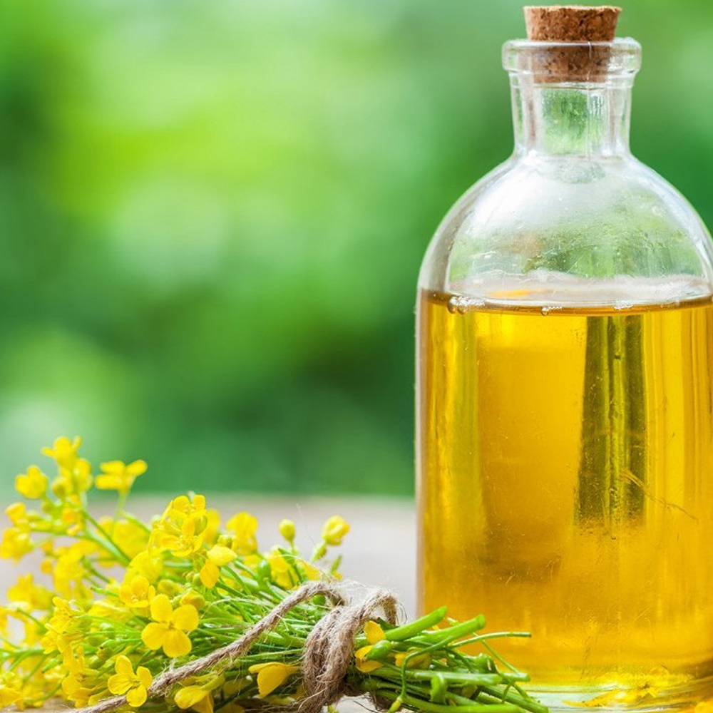 Canola Oil