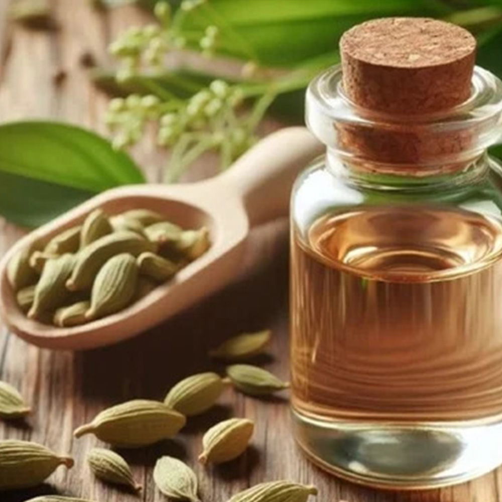 Cardamom Essential Oil