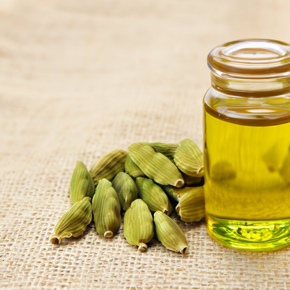 Cardamom Essential Oil