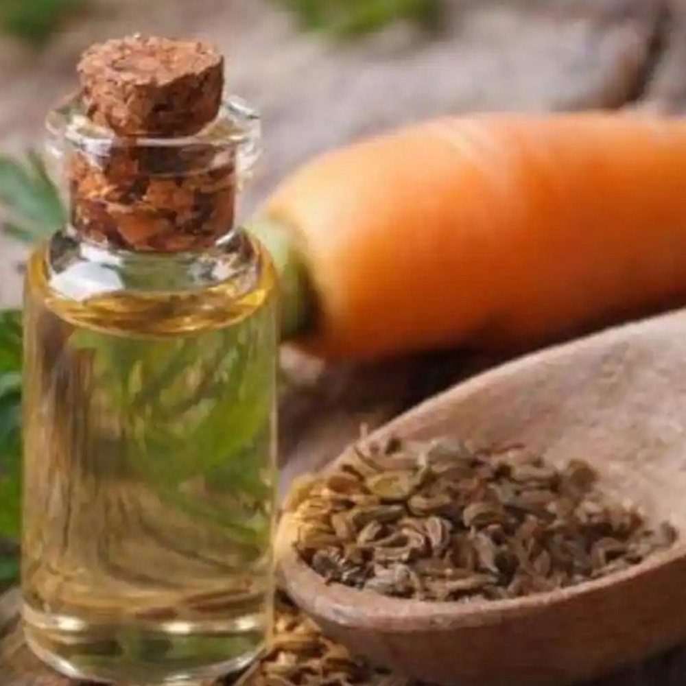 Carrot Seed Essential Oil