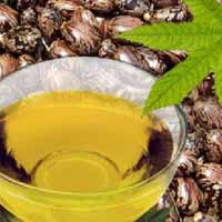 Castor Oil