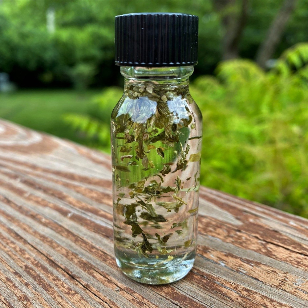 Catnip Essential Oil