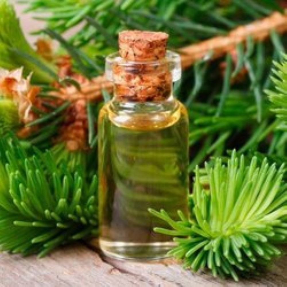 Cedar Leaf Essential Oil