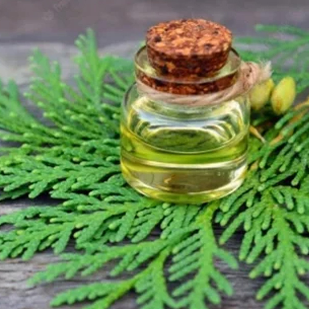 Cedar Leaf Essential Oil
