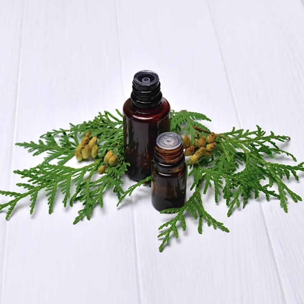Cedar Leaf Essential Oil