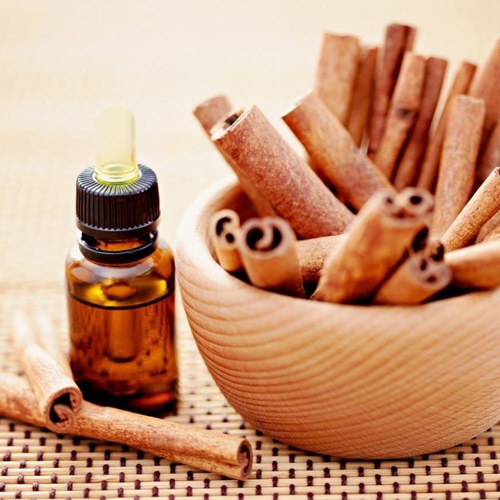 Cinnamon Bark Essential Oil
