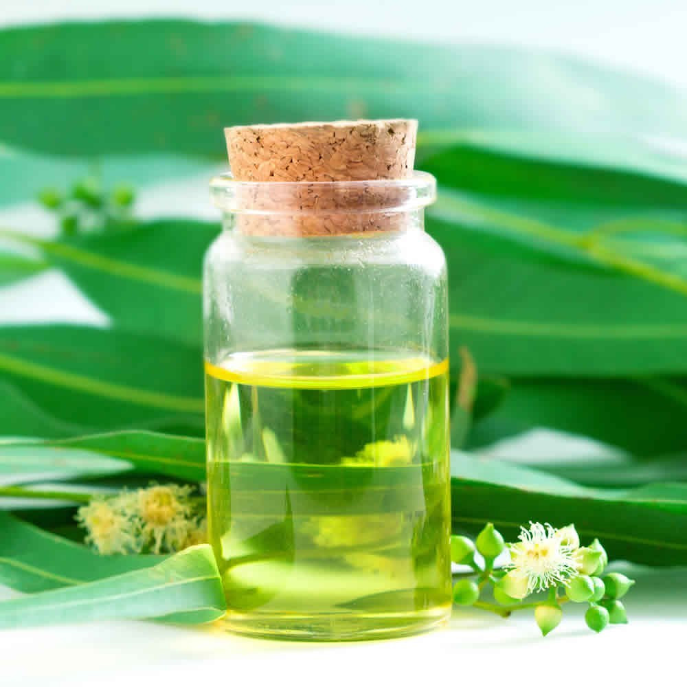 Citriodora Essential Oil