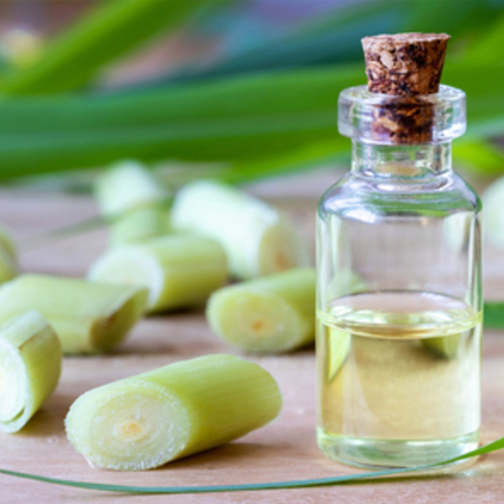 Citronella Essential Oil (Ceylon)