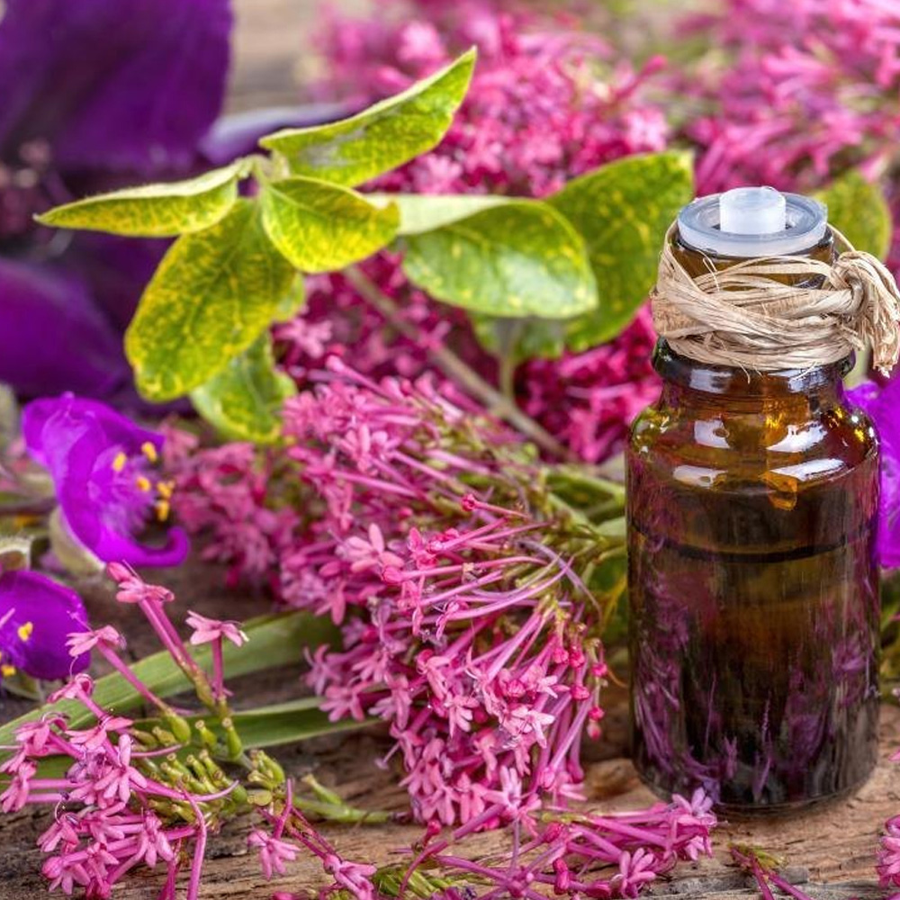 Clary Sage Essential Oil