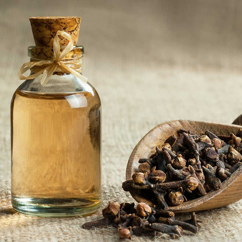 Clove Bud Essential Oil
