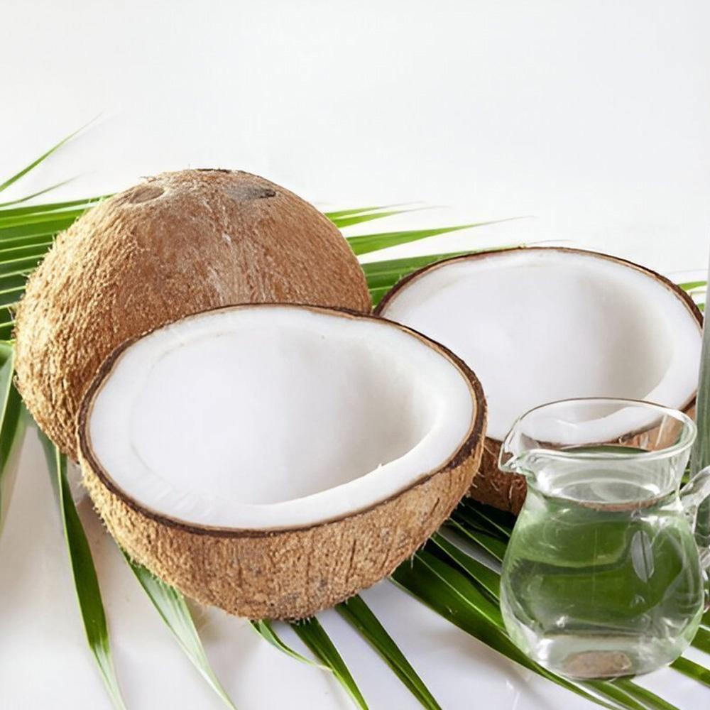 Coconut Oil (Refined)