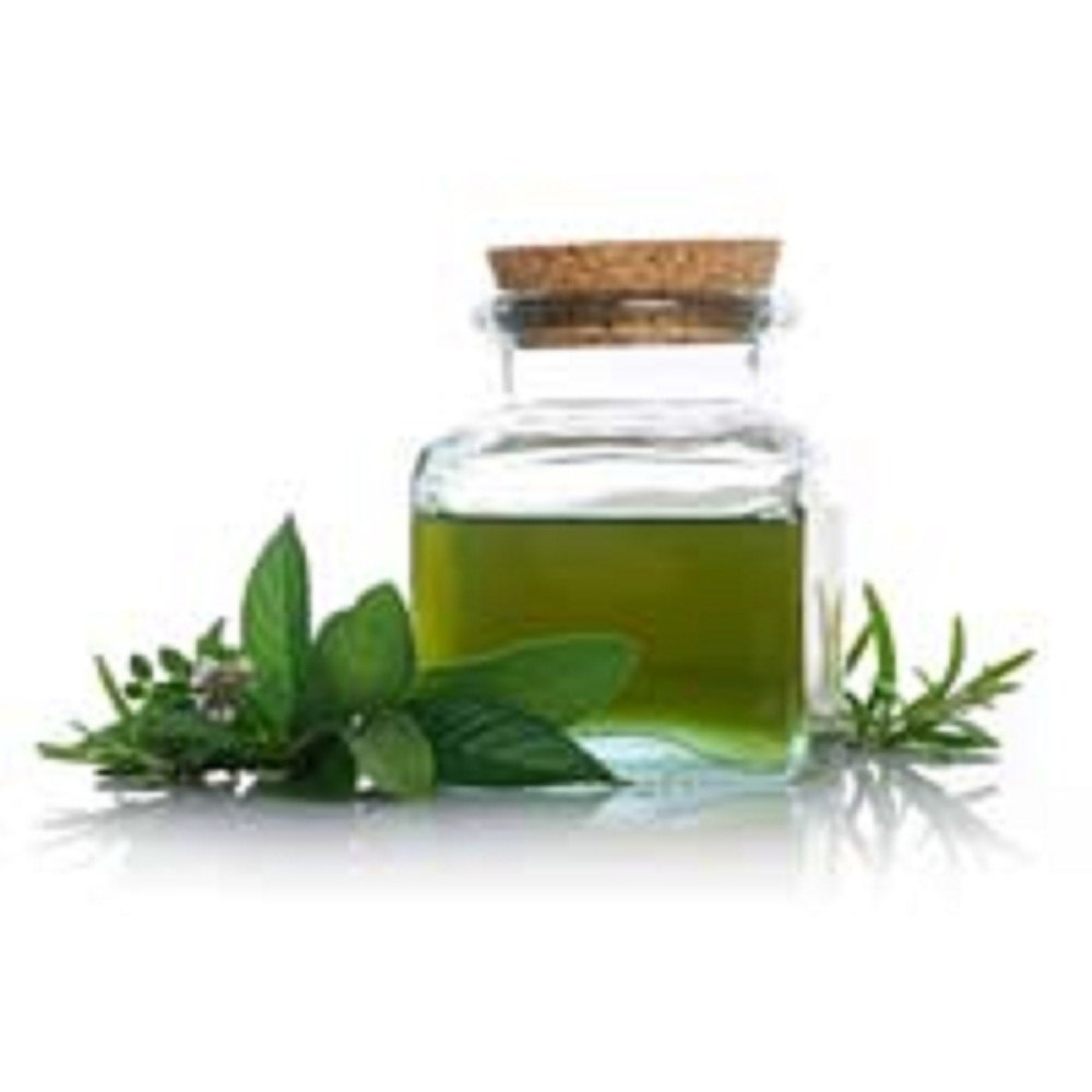 Coleus Root Essential Oil