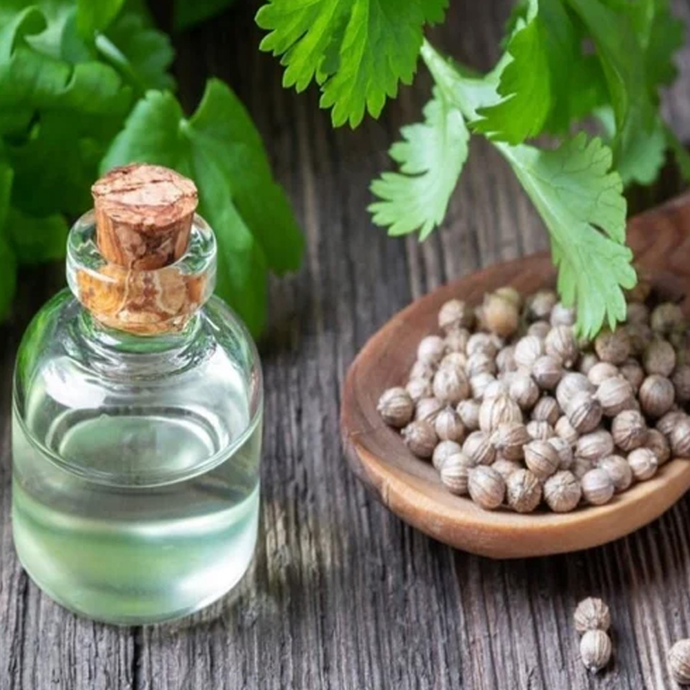 Coriander Essential Oil