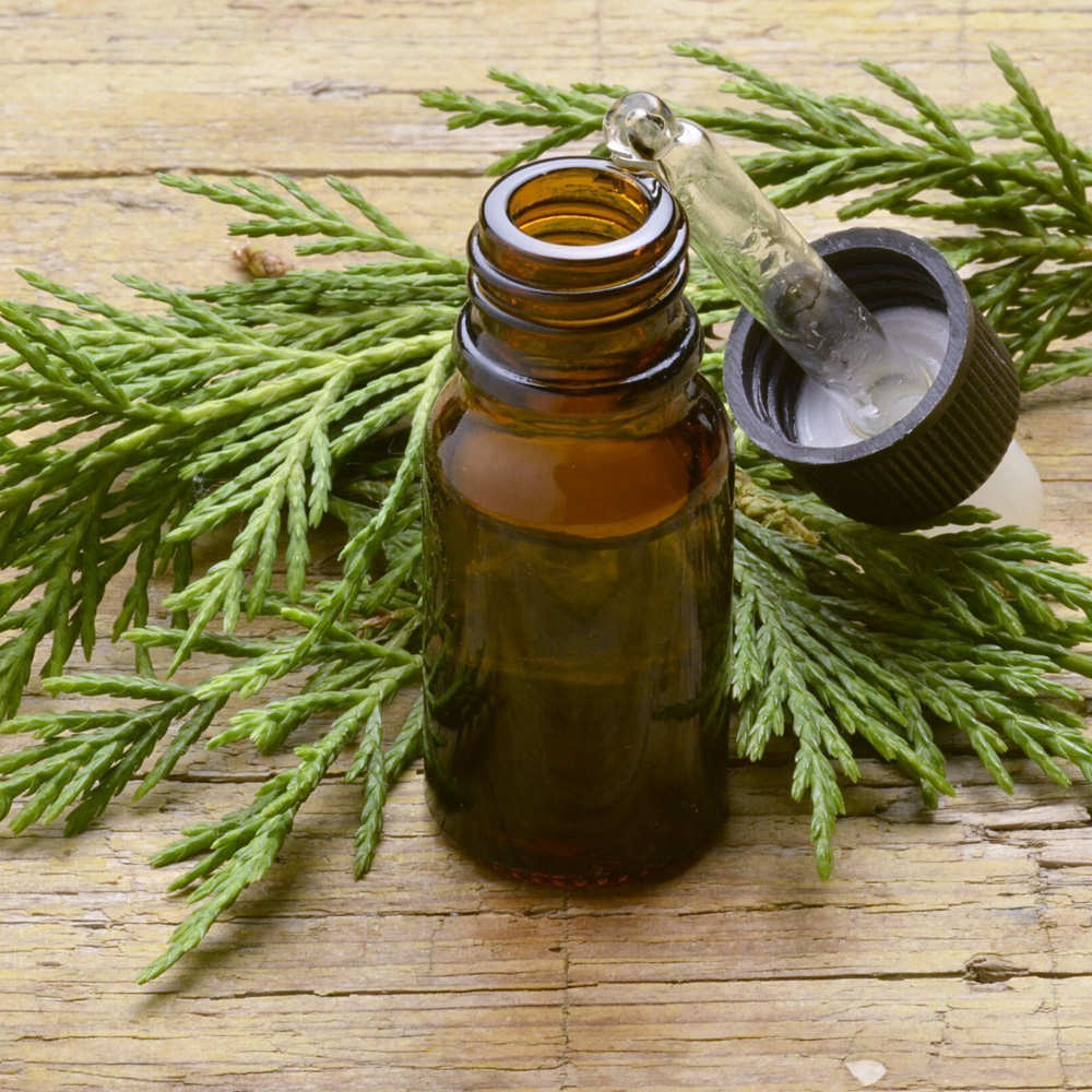 Cypress Essential Oil