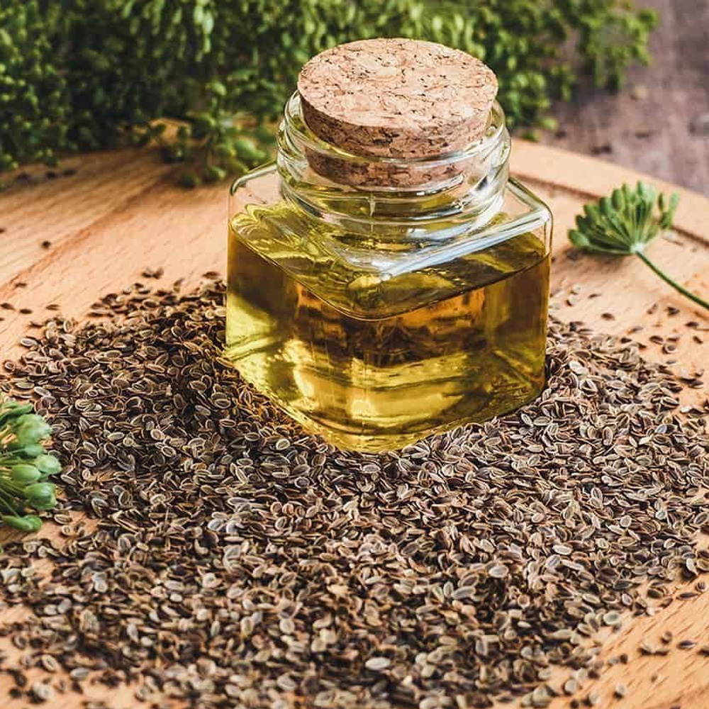 Dill Seed Essential Oil