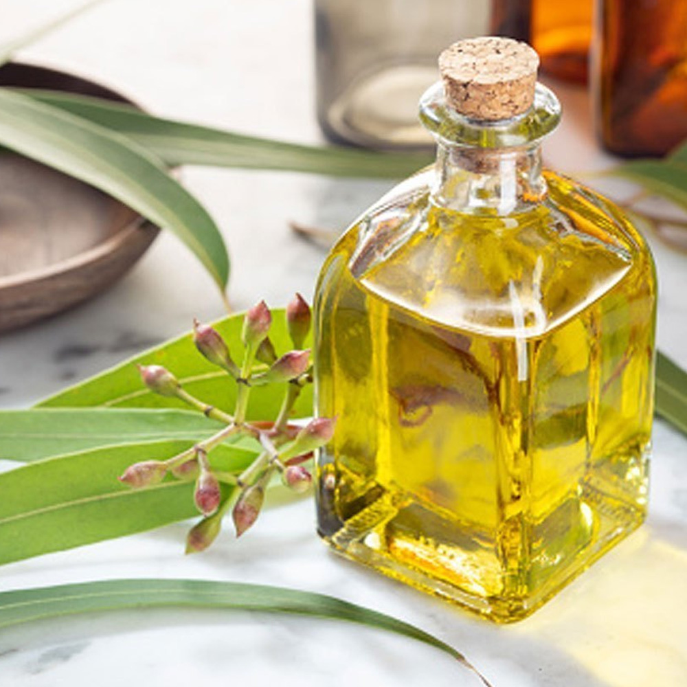 Eucalyptus Essential Oil