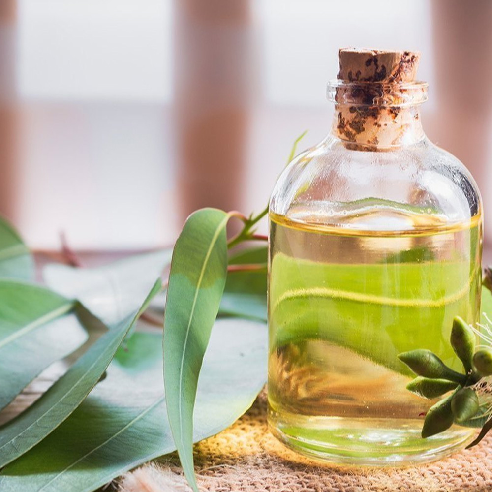 Eucalyptus Essential Oil