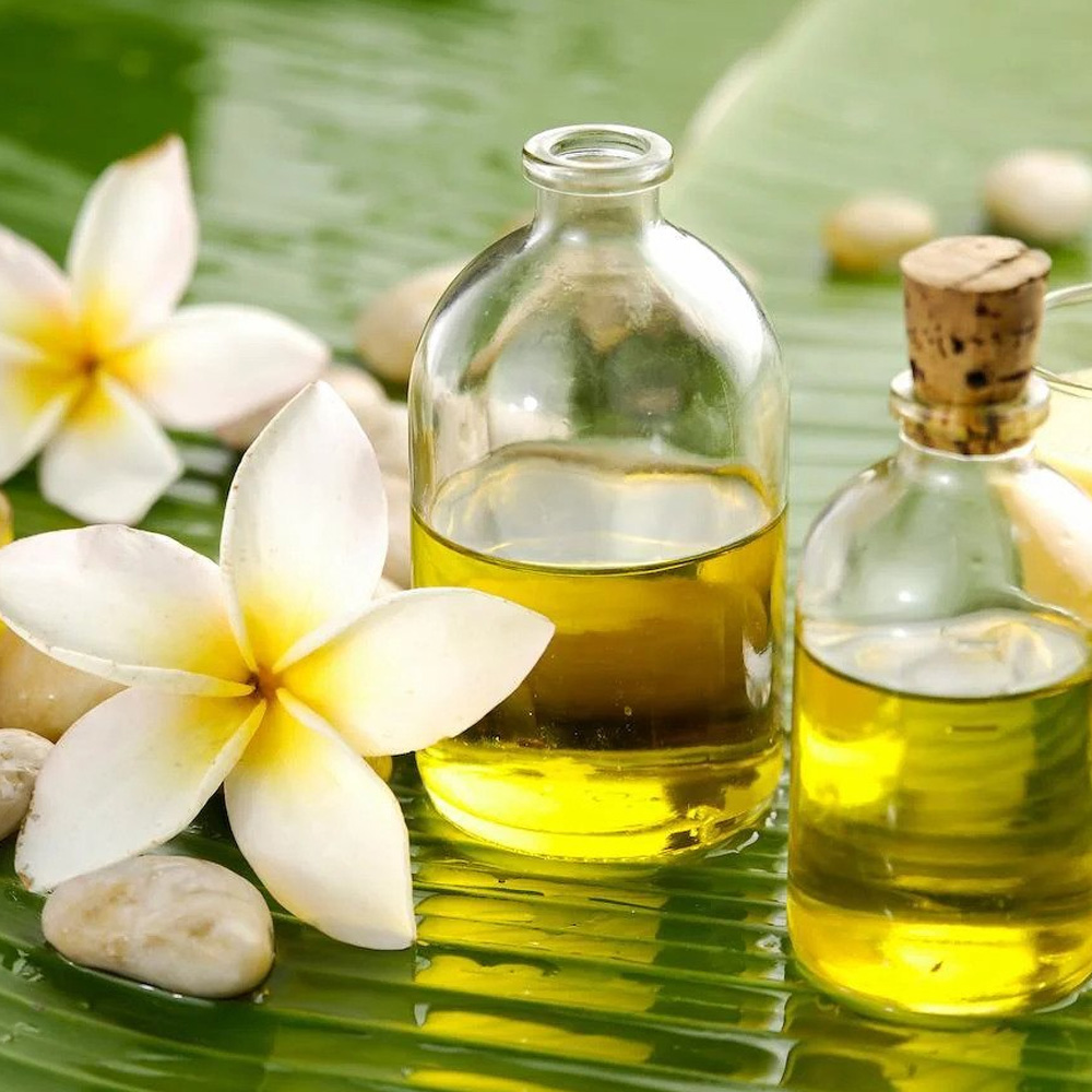 Frangipani Absolute