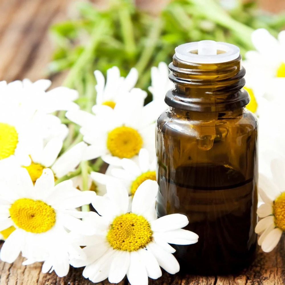 German Chamomile Blue Essential Oil
