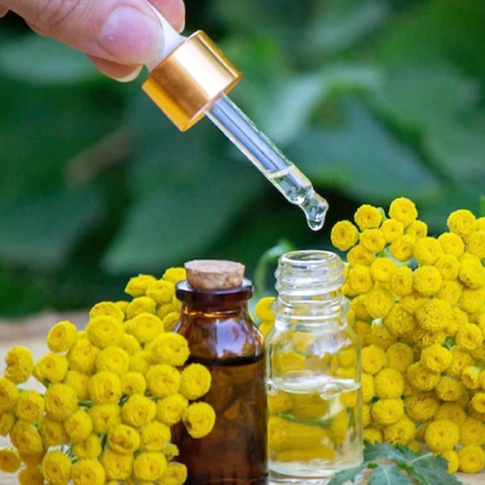 Helichrysum Essential Oil