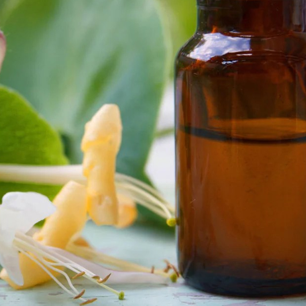 Honeysuckle Essential Oil