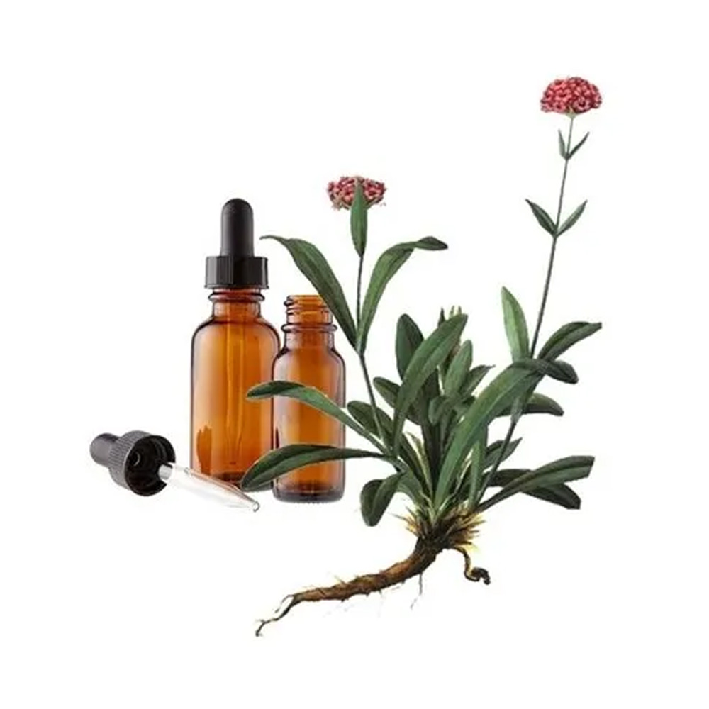 Jatamansi Essential Oil
