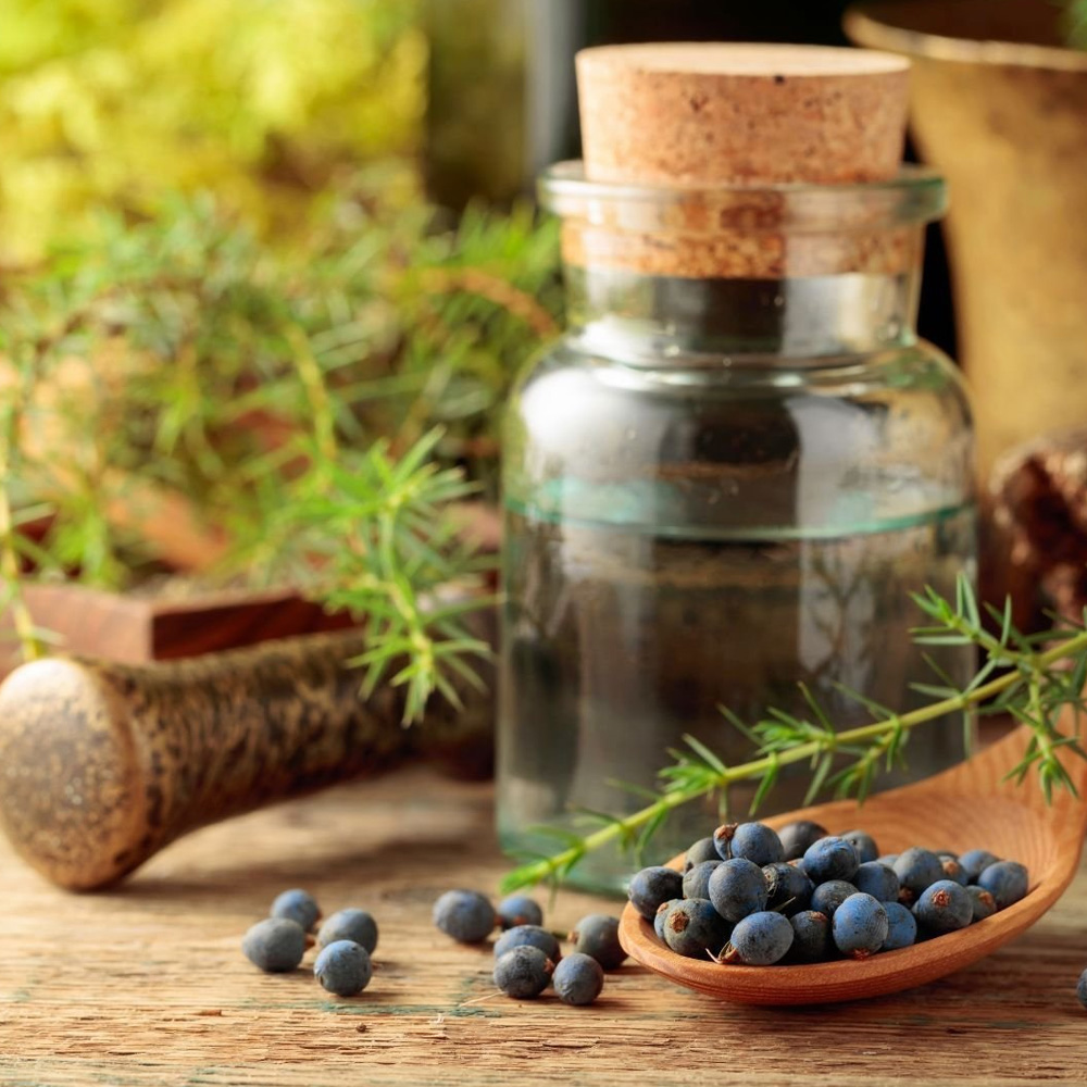 Juniperberry Essential Oil