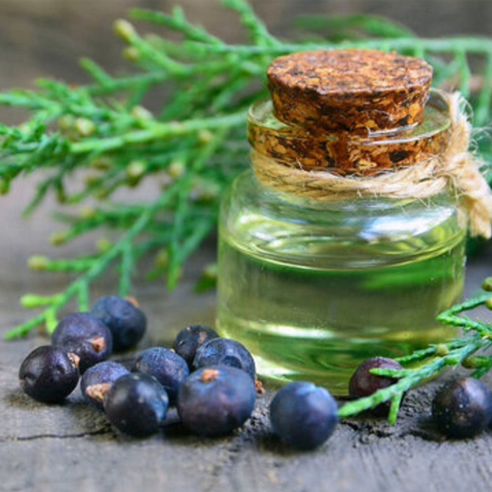 Juniperberry Essential Oil