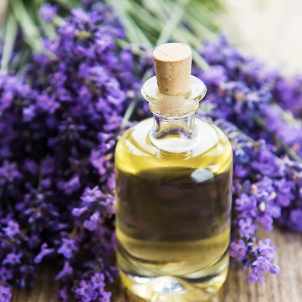 Lavendin Essential Oil