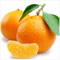 Mandarin Oil (Citrus Reticulata)