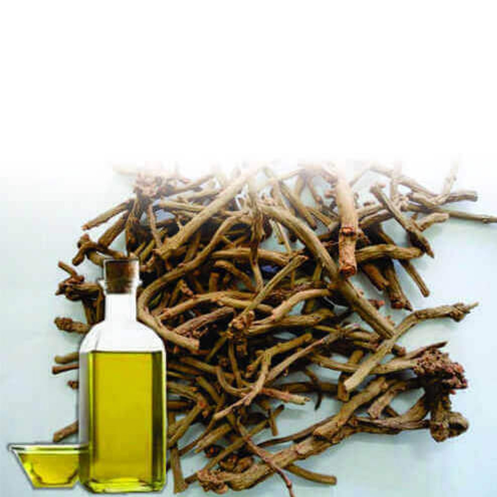 Manjistha Essential Oil