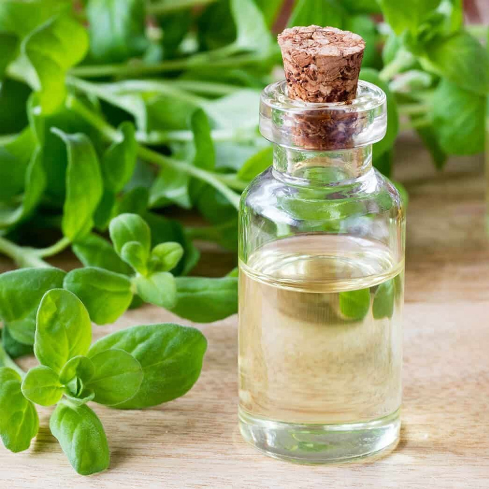 Marjoram Essential Oil