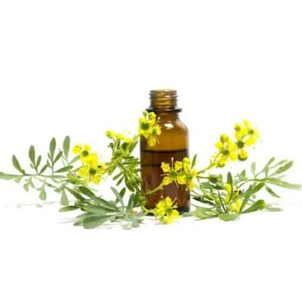 May Chang Essential Oil
